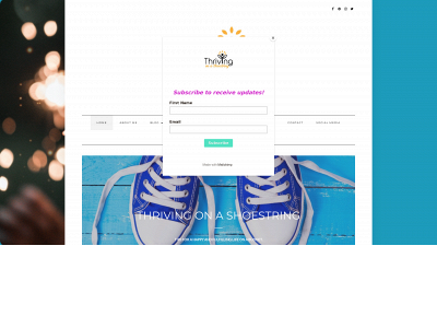 thrivingonashoestring.com snapshot