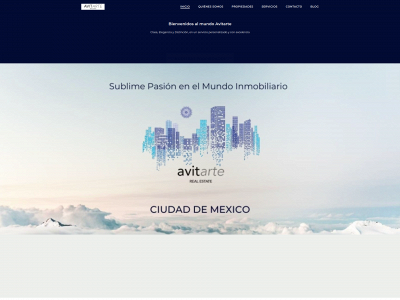 www.avitarte.com snapshot