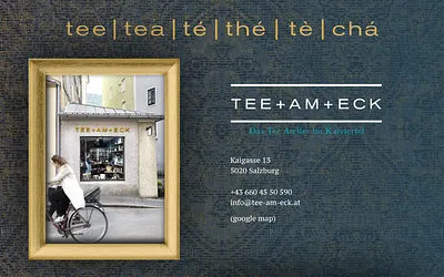 tee-am-eck.at snapshot