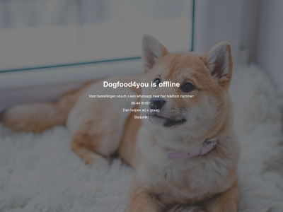 dogfood4you.nl snapshot