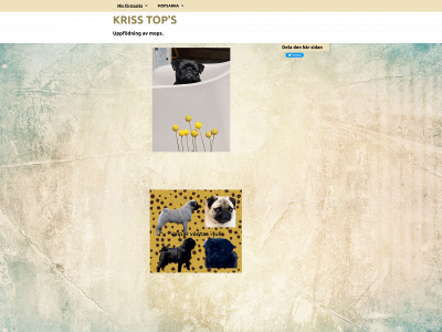 krisstops.se snapshot