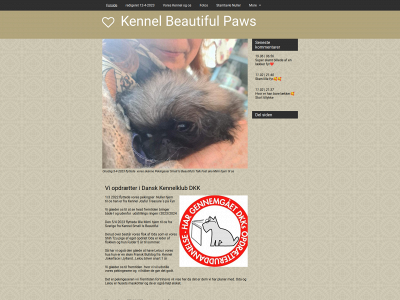 beautiful-paws.dk snapshot