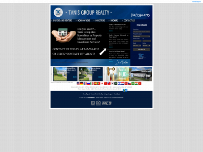 tanisgroupllc.com snapshot