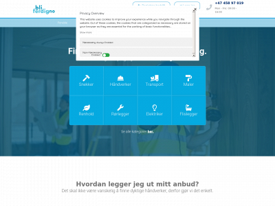 bliferdig.no snapshot