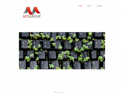 mtsgroup.be snapshot