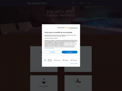 beewellnestmons.be snapshot