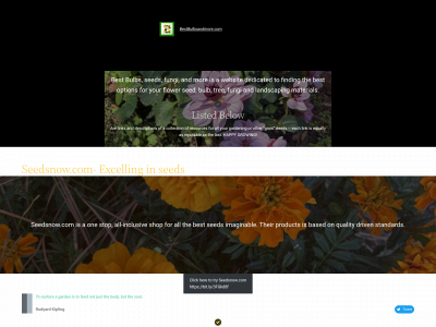 bestbulbsandmore.com snapshot