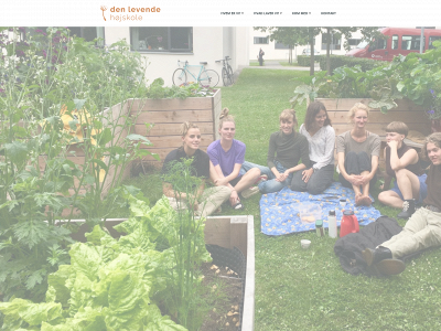 denlevendehojskole.dk snapshot