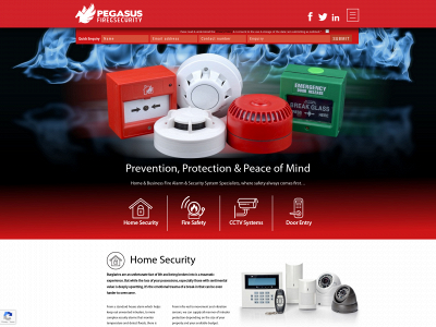 pegasusfireandsecurity.com snapshot