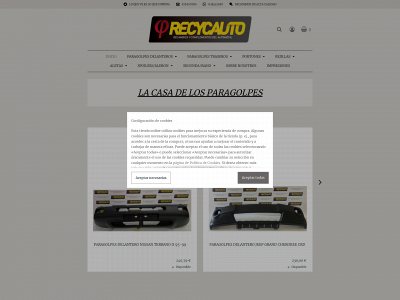 paragolpesdecoches.com snapshot