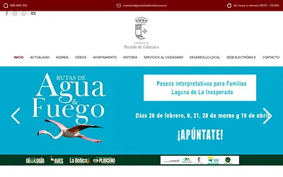 pozuelodecalatrava.es snapshot