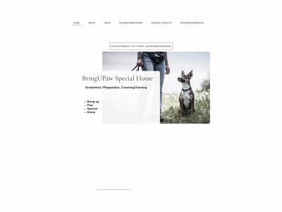 bringupaw.com snapshot