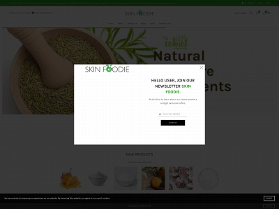 skinfoodie.com.ng snapshot