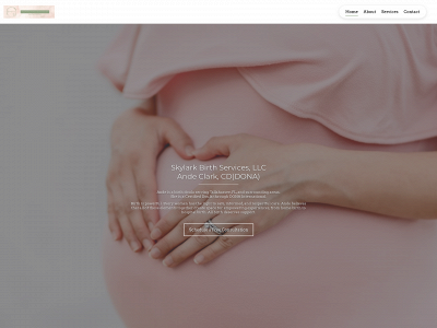 skylarkbirthservices.com snapshot