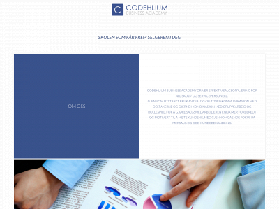 codehlium.no snapshot