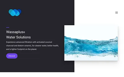 wassaplus.com snapshot