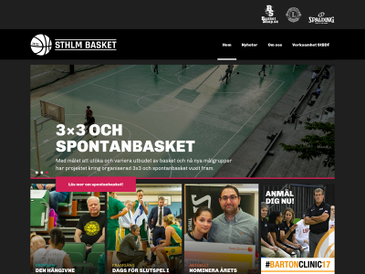 stockholmbasket.se snapshot