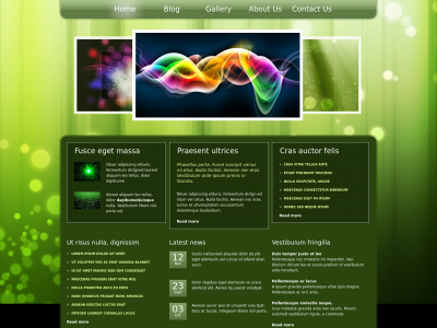 soheilkamali.com snapshot