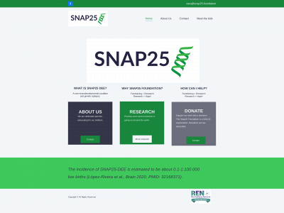 snap25.foundation snapshot