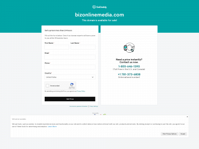 bizonlinemedia.com snapshot