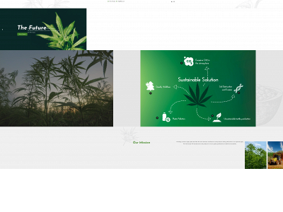thbnv.com snapshot