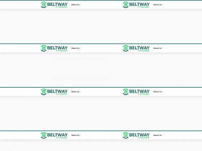beltwaytechgroup.com snapshot