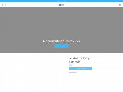 armtorkis.se snapshot