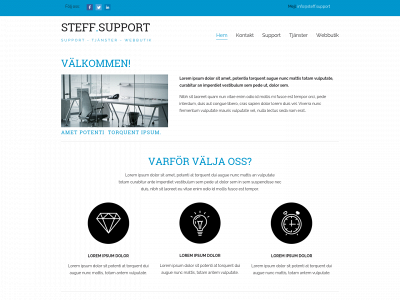 steff.support snapshot