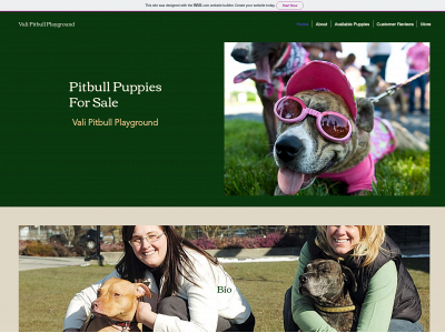 www.valipitbullplayground.shop snapshot