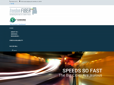 freedomfiber.com snapshot