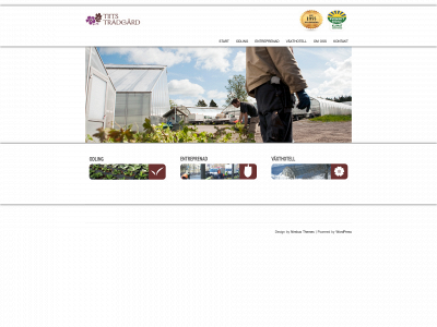 tiits.se snapshot