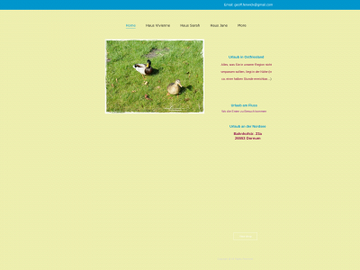 ferienhaeuserdornum.com snapshot