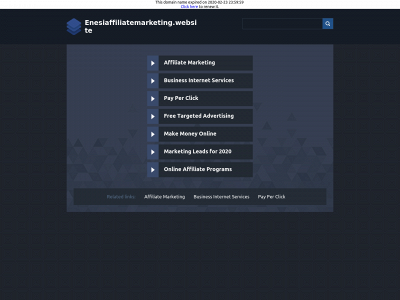 enesiaffiliatemarketing.website snapshot