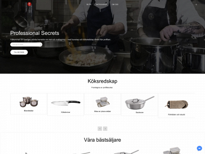 www.professionalsecrets.se snapshot