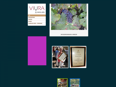 viura.se snapshot