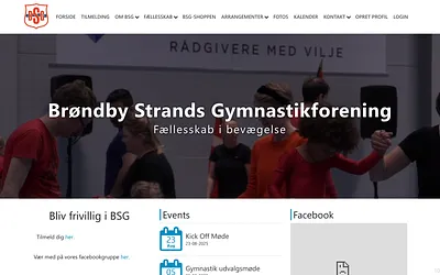 bsg.dk snapshot