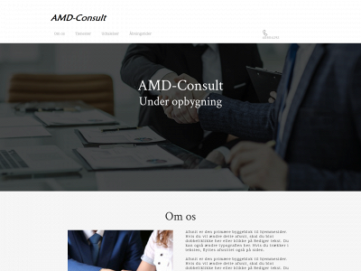 amd-consult.one snapshot