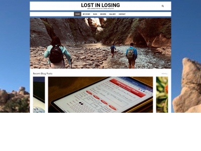 lostinlosing.com snapshot