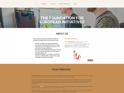 tfei.org.uk snapshot