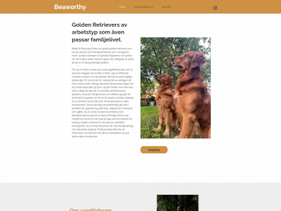 beaworthy.net snapshot