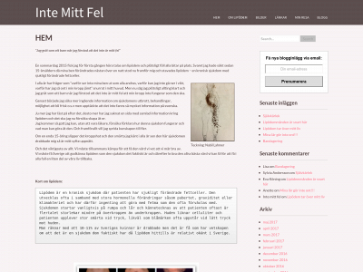 intemittfel.se snapshot