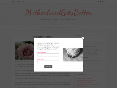 motherhoodgetsbetter.com snapshot
