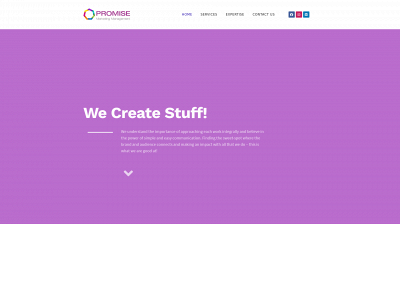 promisemmt.com snapshot