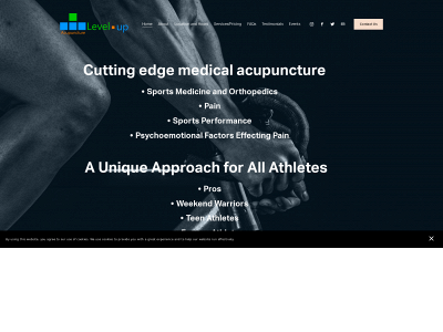levelupacupuncture.com snapshot