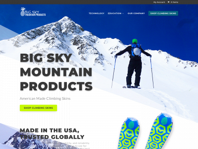 skiskinsonline.com snapshot