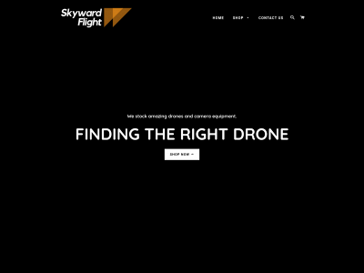 skywardflight.com snapshot