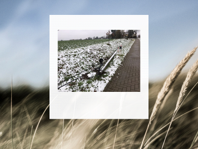 wilmerdorf-los.de snapshot