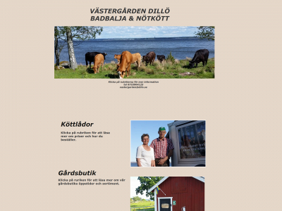 dillo.se snapshot