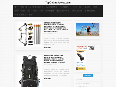 toponlinesports.com snapshot