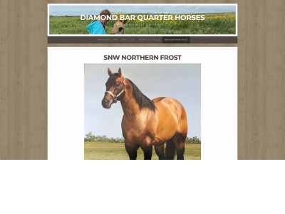 swdiamondbarquarterhorses.com snapshot